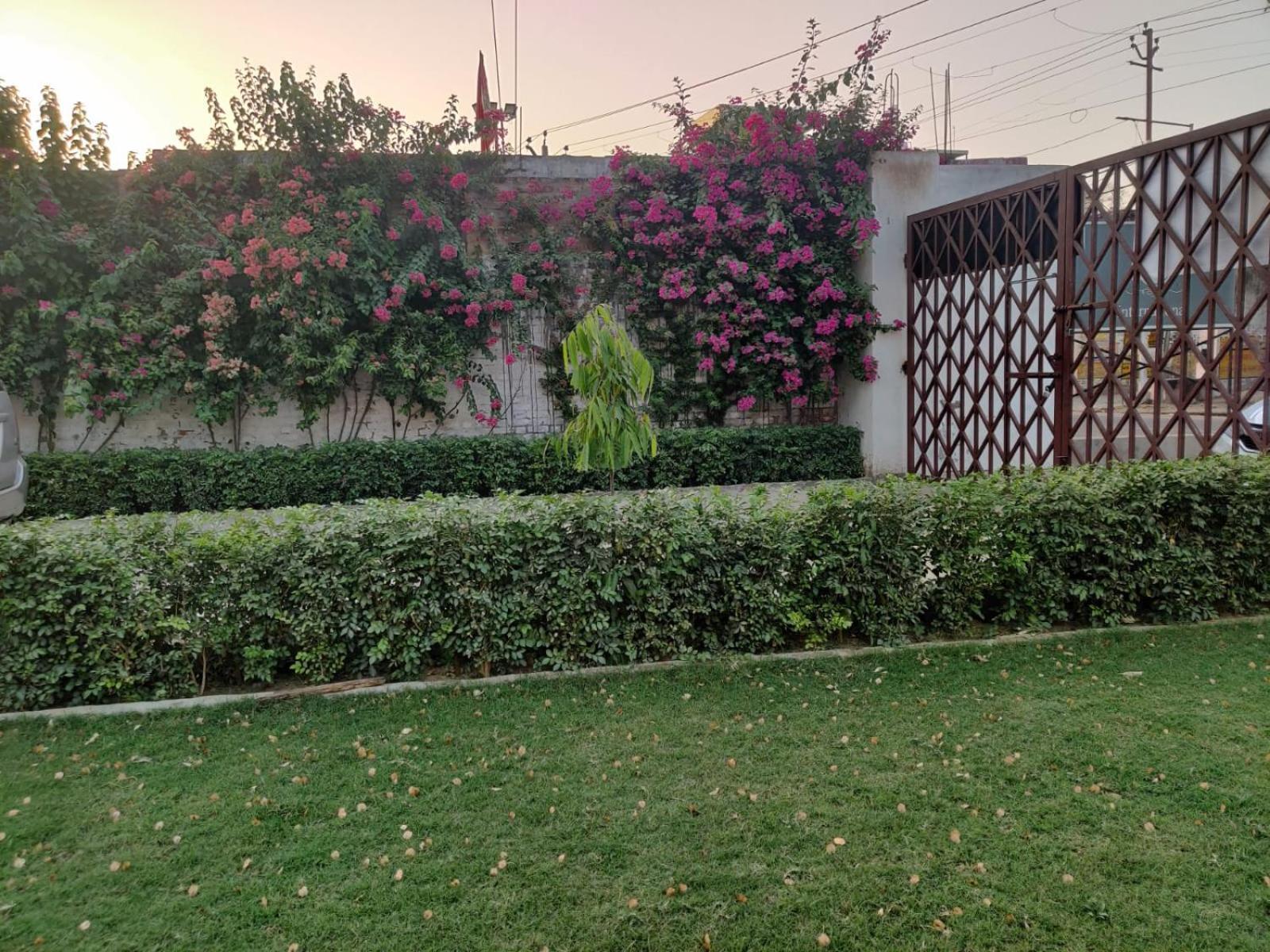 Jp International Naimisharanya Hotel Luaran gambar